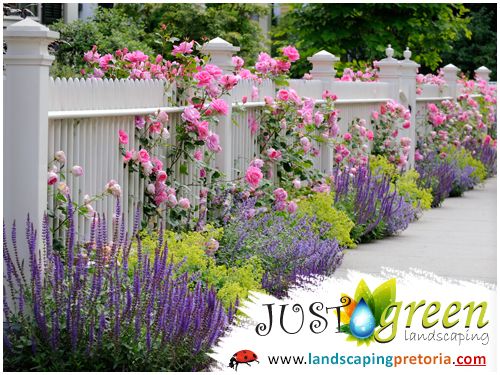 Landscaping Pretoria