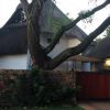 The Thatch Cottage